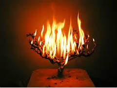 consumingfire1