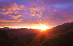 gettyimagedeargod
