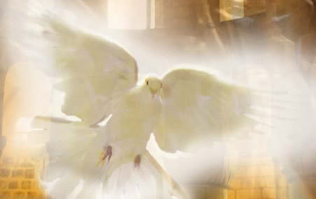holy_spiritwithout words